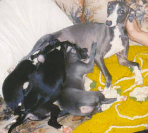 momandbabys.jpg